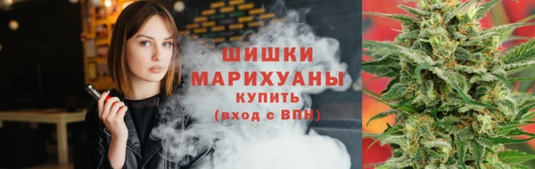 хмурый Пересвет