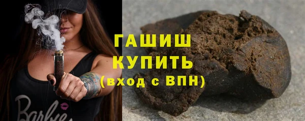 хмурый Пересвет