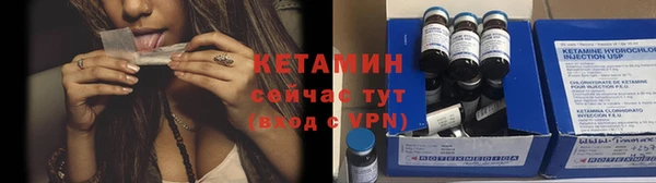 хмурый Пересвет