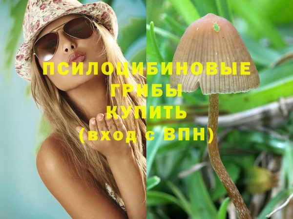 твердый Пестово