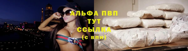 хмурый Пересвет