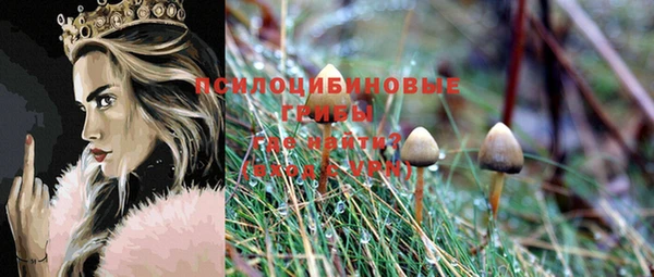 спайс Балахна