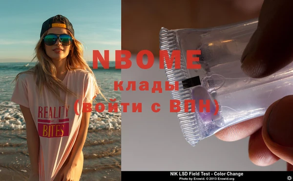 хмурый Пересвет